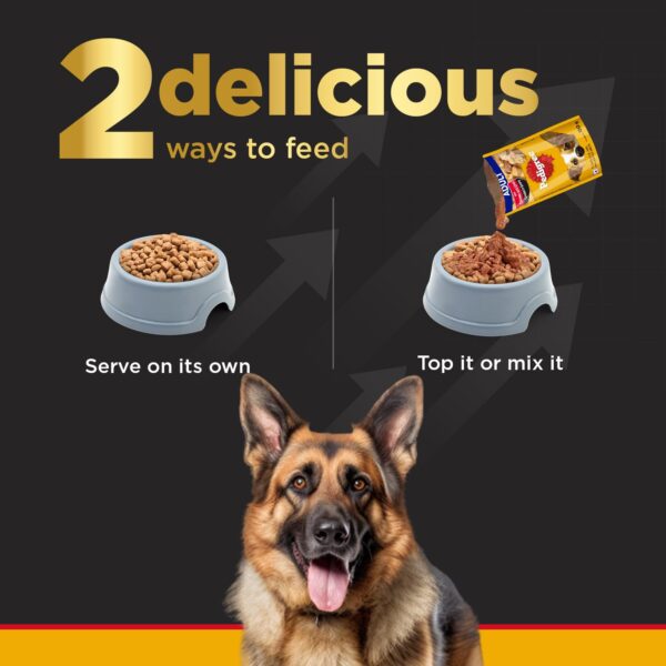 Pedigree Pro Active Adult Large Breed - Image 5