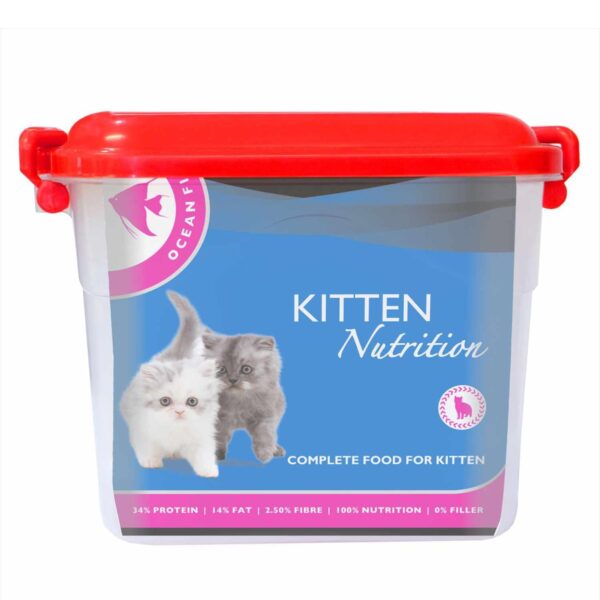 Drools Kitten Food  Ocean Fish - Image 3