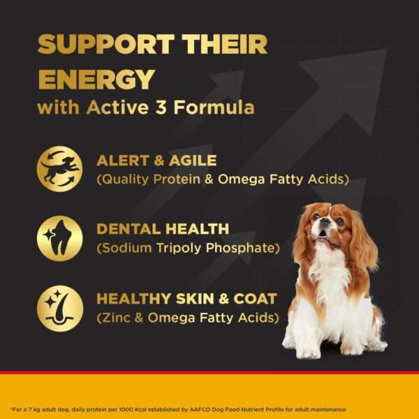 Pedigree Pro Active Adult Large Breed - Image 7