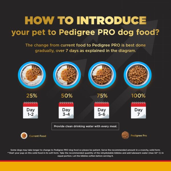 Pedigree Pro Active Adult Large Breed - Image 8