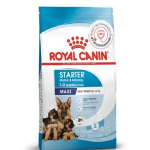 Royal Canin Maxi Starter